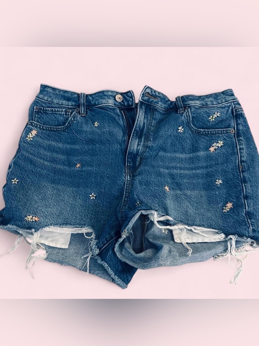 Embroidered Distressed Denim Shorts - Blue